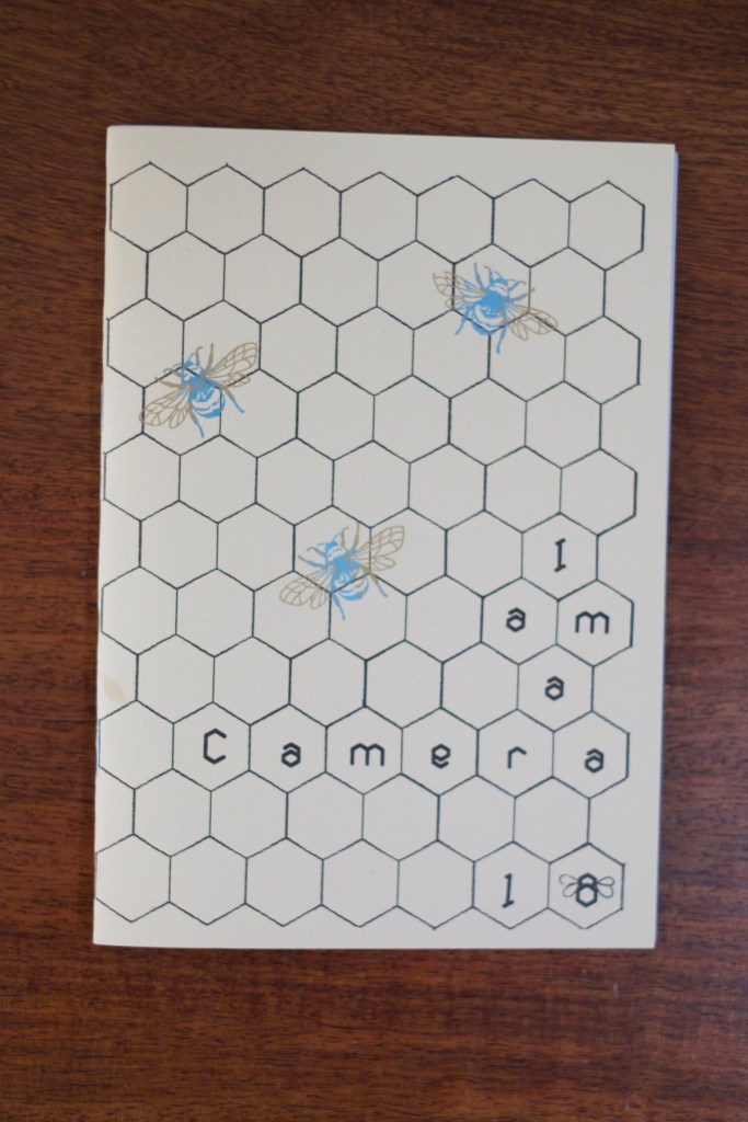 i-am-a-camera-vanessa-berry