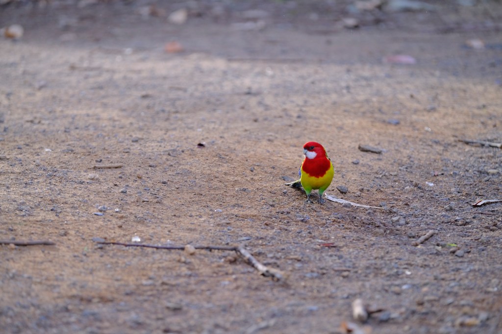 Photos through the&nbsp;year