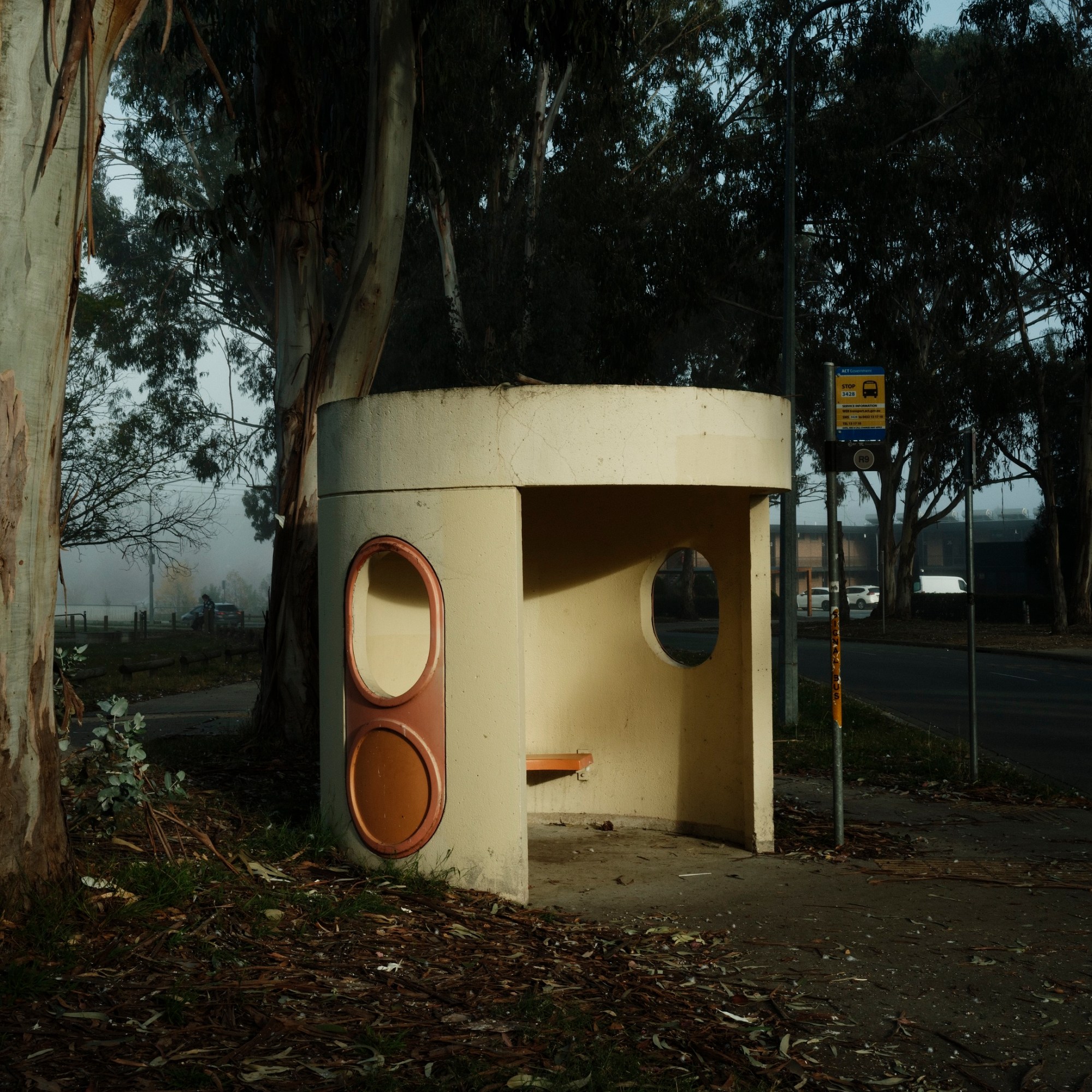 Bus stop in the morning fog and golden hour